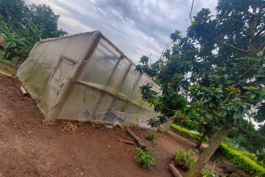 green house