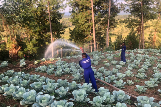 WATERING